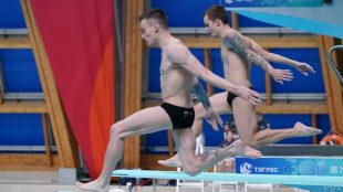 Шлейхер, Иванов