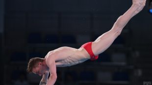 Никита Шлейхер